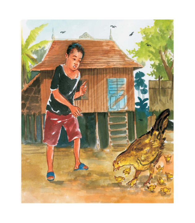 កូនមាន់